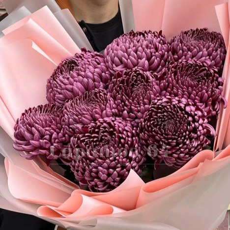 Букет из хризантем &laquo;Бигуди&raquo;