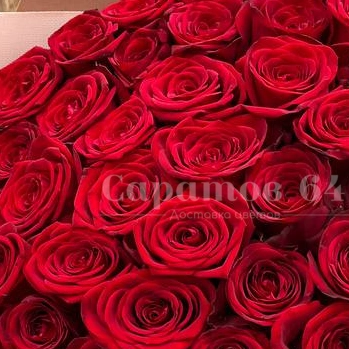 Букет из 51-й розы &laquo;Огонь любви&raquo;