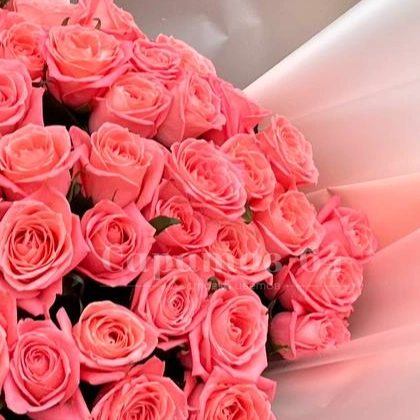 Букет из 51 розы &laquo;коралловый блеск&raquo;