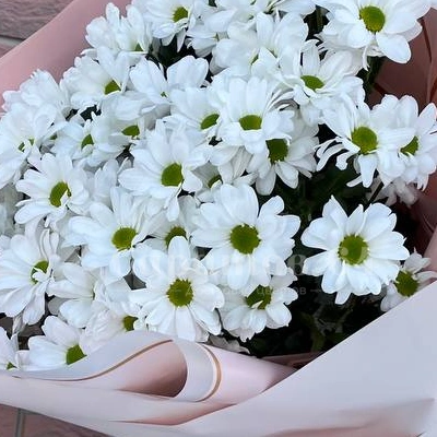 Букет из хризантем &laquo;ромашковое облако&raquo;