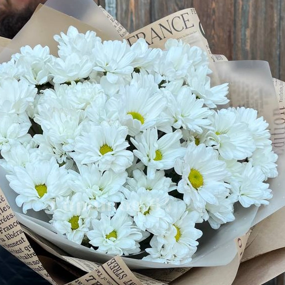 Букет из ромашковой хризантемы &laquo;Белое облако&raquo;