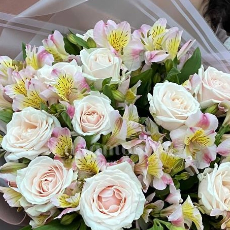 Букет с розами и альстромериями &laquo;Весенний вальс&raquo;