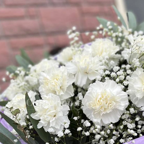 Букет с гвоздиками &laquo;невесомость&raquo;