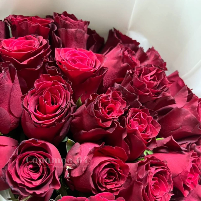 Букет из 35-ти красных роз &laquo;гостья&raquo;