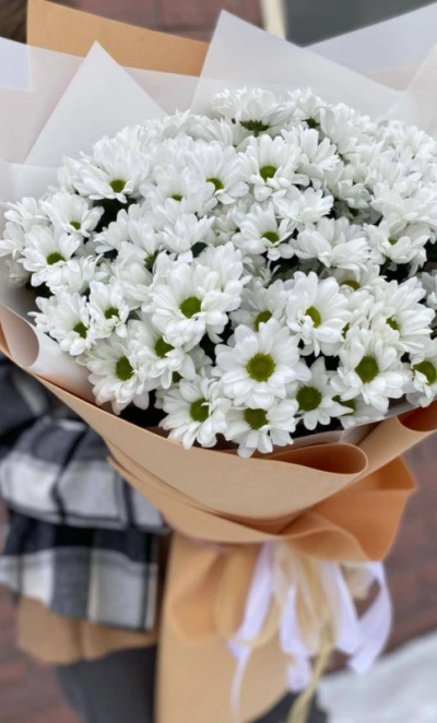 Монобукет из ромашковой хризантемы «поле»