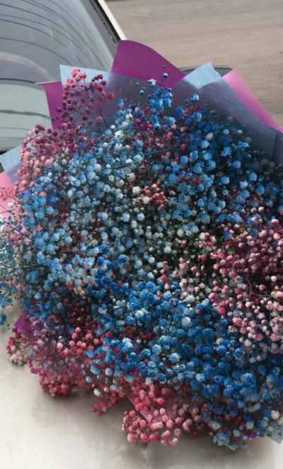 Монобукет из гипсофилы «радужное сияние»