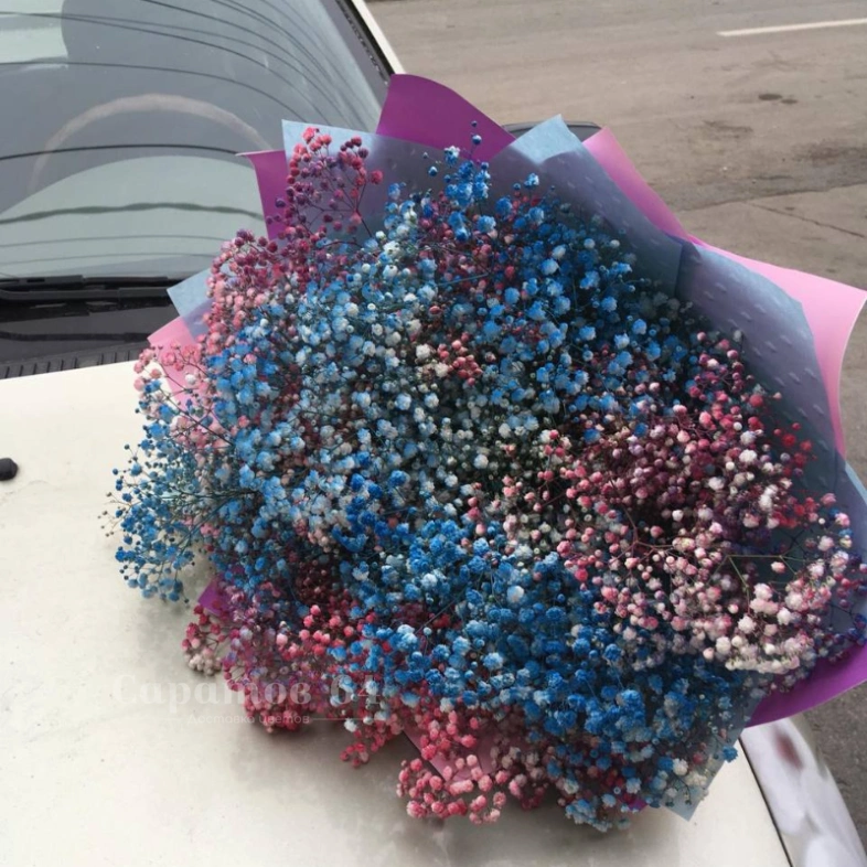 Монобукет из гипсофилы &laquo;радужное сияние&raquo;