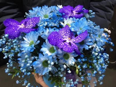 Композиция в шляпной коробке «синяя орхидея»