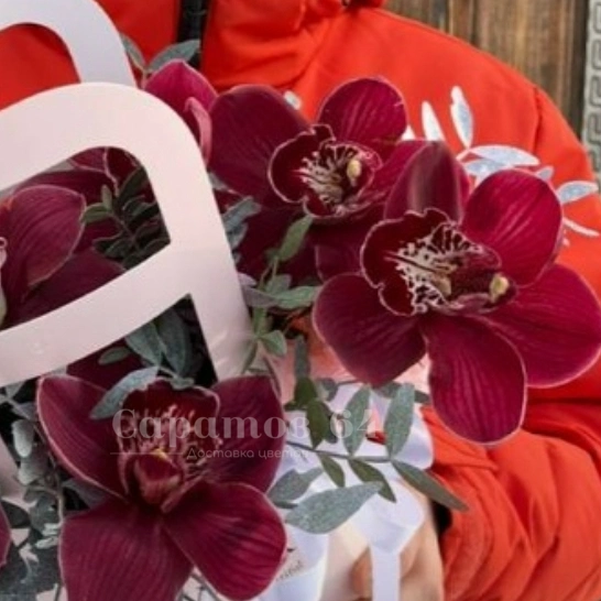 Композиция 7 шт орхидей цимбидиум