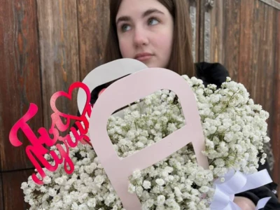 Гипсофила в картонной сумочке