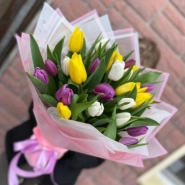 35 тюльпанов МИКС  0