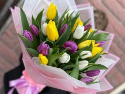 35 тюльпанов МИКС 