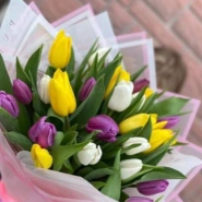 35 тюльпанов МИКС  1