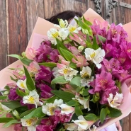 Букет 15 альстромерий микс 1