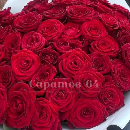 Букет 51 красная роза в белом оформлении 