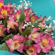 Букет 7 альстромерий и гипсофила 1