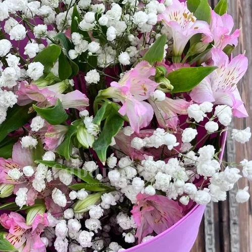 Букет 7 розовых альстромерий и гипсофила