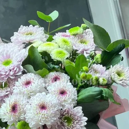 Кустовая хризантема в сумочке