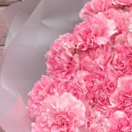 Букет 19 розовых диантусов 1