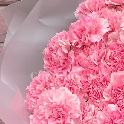 Букет 19 розовых диантусов