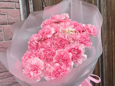 Букет 19 розовых диантусов