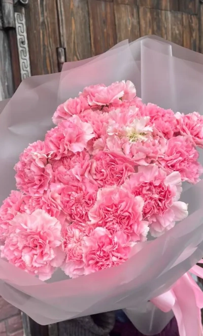 Букет 19 розовых диантусов