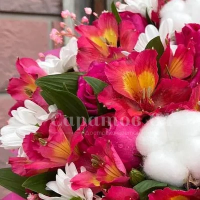 Композиция в коробке ромашковые хризантемы с альстромериями и розами