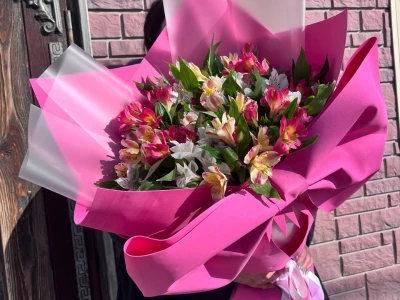 Букет 15 веток альстромерии с бантом